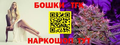 гашик Новодвинск